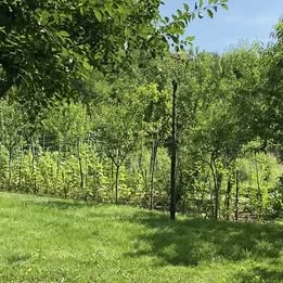Ocna Sibiului  Teren de vanzare:Aprox 1000 m2 Pret:    42,800 - imagine 9