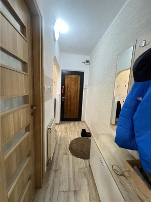 Apartament renovat cu 2 camere situat in zona Rahovei din Sibiu - imagine 9