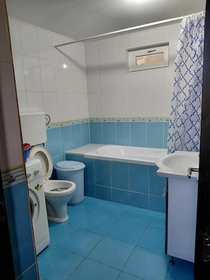 Casa tip parter Stancesti Vadu Pasii - imagine 5