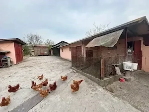 Casă de vânzare - imagine 5