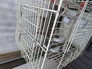 Colivie păsări 43x43x65 - imagine 5