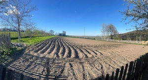 Case+ teren de vanzare - imagine 3