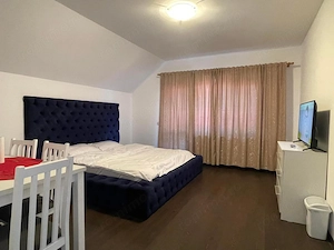 Busteni-Apartament cu doua camere ,mobilat si utilat - imagine 6
