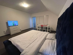 Busteni-Apartament cu doua camere ,mobilat si utilat - imagine 9