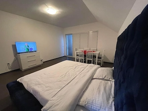 Busteni-Apartament cu doua camere ,mobilat si utilat - imagine 4