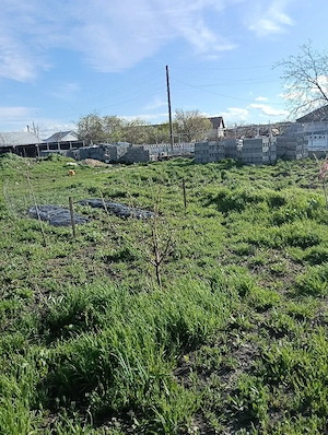 teren intravilan in țigănești, împrejmuit cu radier turnat, bolțari incluși bolțari de beton,  - imagine 8