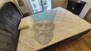  Apartament 2 Camere Tineretului Park Residence Bucuresti - imagine 12