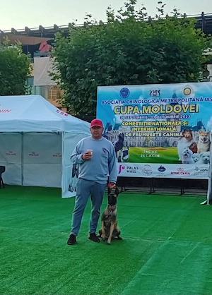Ciobanesc belgian malinois cu Pedigree  - imagine 2