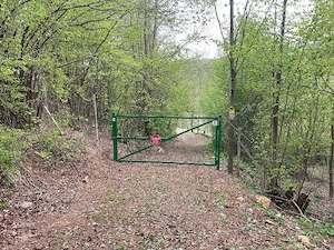 Casă , livada și pădure Bătrâna jud Hunedoara ținutul pădurenilor. - imagine 2