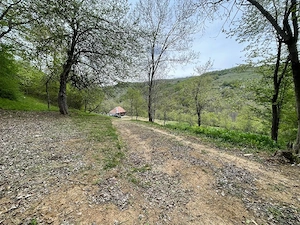 Casă , livada și pădure Bătrâna jud Hunedoara ținutul pădurenilor. - imagine 3