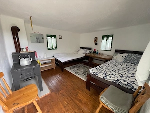 Casă , livada și pădure Bătrâna jud Hunedoara ținutul pădurenilor. - imagine 4