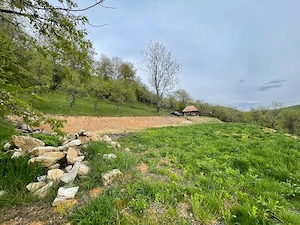 Casă , livada și pădure Bătrâna jud Hunedoara ținutul pădurenilor. - imagine 5