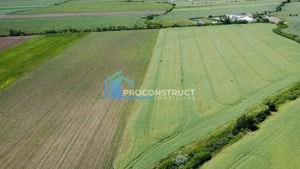 Teren extravilan | Sacalaz | 9990 MP | 2 Fronturi stradale - imagine 4