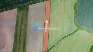 Teren extravilan | Sacalaz | 9990 MP | 2 Fronturi stradale - imagine 3