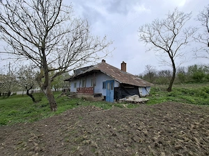 Casa Batraneasca - imagine 2