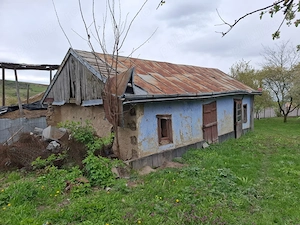 Casa Batraneasca - imagine 3