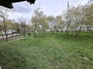 Casa Batraneasca - imagine 5