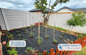Antony Estate | Vanzare Emberlyn House - Santandrei - imagine 8