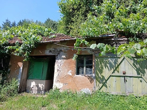 Casa de vanzare Slatina de mures, Arad - imagine 4