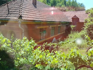 Casa de vanzare Slatina de mures, Arad - imagine 9