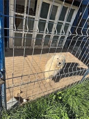 se doneaza !!! - imagine 3