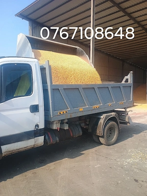 servicii de transport basculanta 