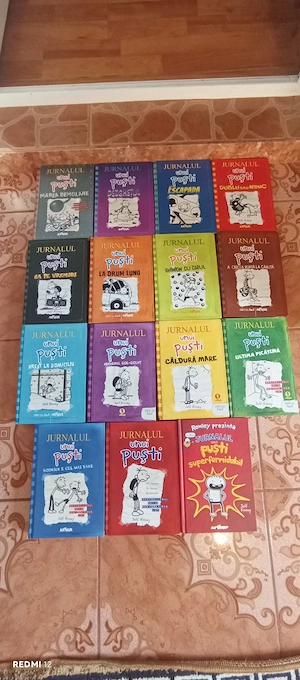 jurnalul unui puști 