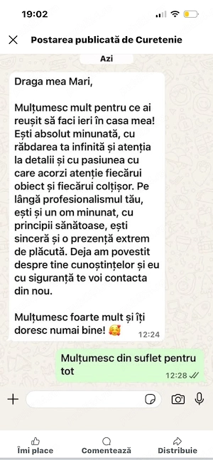 Curetenie apartamente după ingineri constructori 