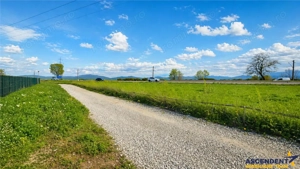 Teren intravilan Harman, 485 mp, front 20 ml, POT 35%,, conditii avantajoase - imagine 6