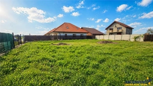 Teren intravilan Harman, 485 mp, front 20 ml, POT 35%,, conditii avantajoase - imagine 4