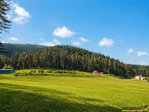 Incantator parc privat, 1.500mp: casa  pensiune  refugiu montan, Sacele, Brasov - imagine 2