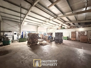 Hala industrială de vanzare Arad 540 mp, depozitare la rece, acces TIR - imagine 5