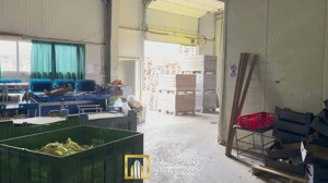 Hala industrială de vanzare Arad 540 mp, depozitare la rece, acces TIR - imagine 4