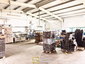 Hala industrială de vanzare Arad 540 mp, depozitare la rece, acces TIR - imagine 6