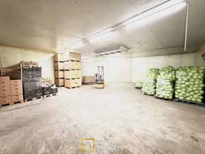 Hala industrială de vanzare Arad 540 mp, depozitare la rece, acces TIR - imagine 2