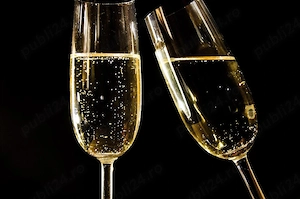 Vin din struguri de muscat ottonel și sovignon blanc de 12 grade