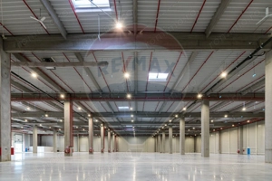Spațiu industrial de închiriat 1.600mp - 9.000mp în Hală - Iasi (Vest)