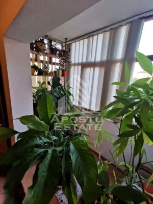 Apartament cu 3 camere de vanzare, 2 bai, zona Dambovita, Timisoara - imagine 8