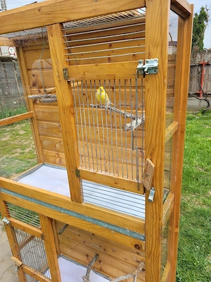 Voliera lemn si sticla - imagine 4