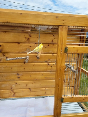 Voliera lemn si sticla