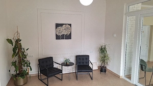 spatiu comercial mobilat la drum principal - imagine 4