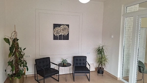 spatiu comercial mobilat la drum principal - imagine 6