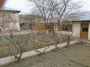 Vand casa in Harsova - imagine 4