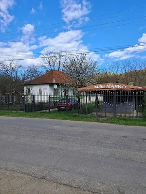 Vand Casa Complet Mobilata cu Teren 3996mp Sat Policiori Judetul Buzau