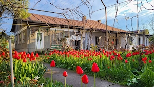 Casa cu teren 1400mp