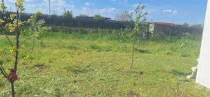 Vand teren in Călărași zona linistita, cu vecini foarte buni.