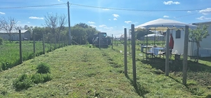 Vand teren in Călărași zona linistita, cu vecini foarte buni.
