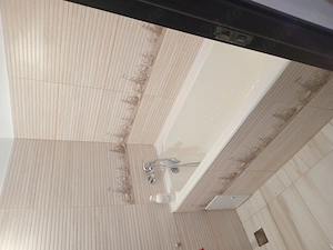 Titan-1 dec 1918-ozana - imagine 4