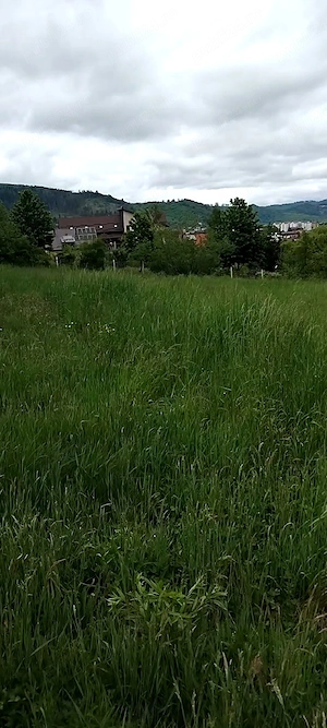 Teren intravilan în stațiunea turistica Gura Humorului  - imagine 4
