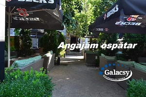 Cafeneaua Galacsy angajează ospătar 